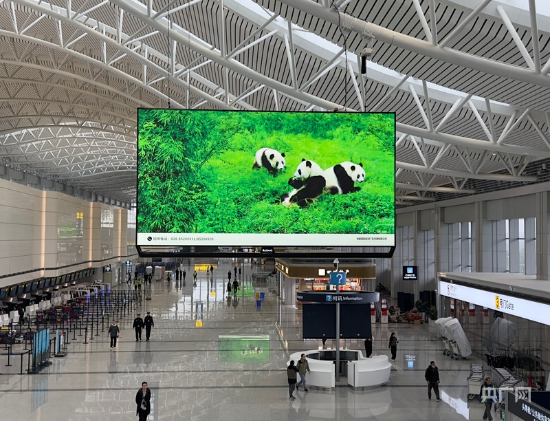 高质量发展看中国｜智慧领航 蜀韵添彩 成都航空枢纽进阶之路(图1)