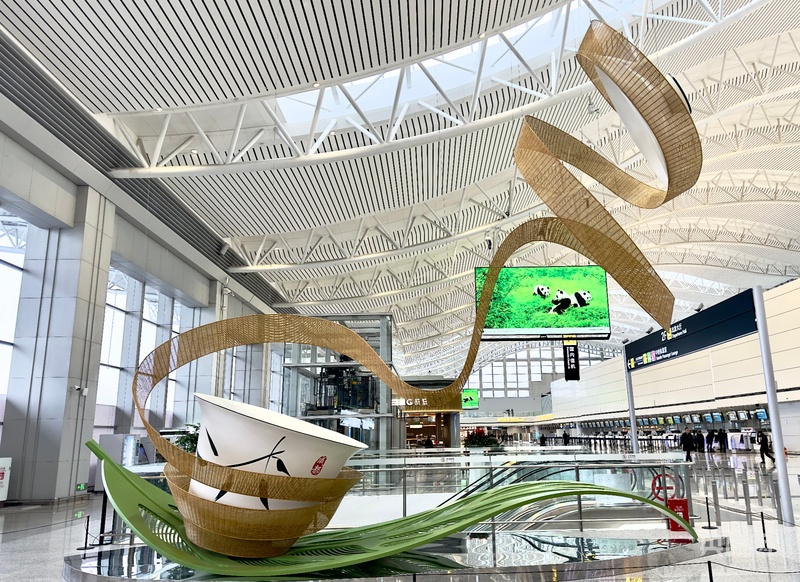 高质量发展看中国｜智慧领航 蜀韵添彩 成都航空枢纽进阶之路(图5)