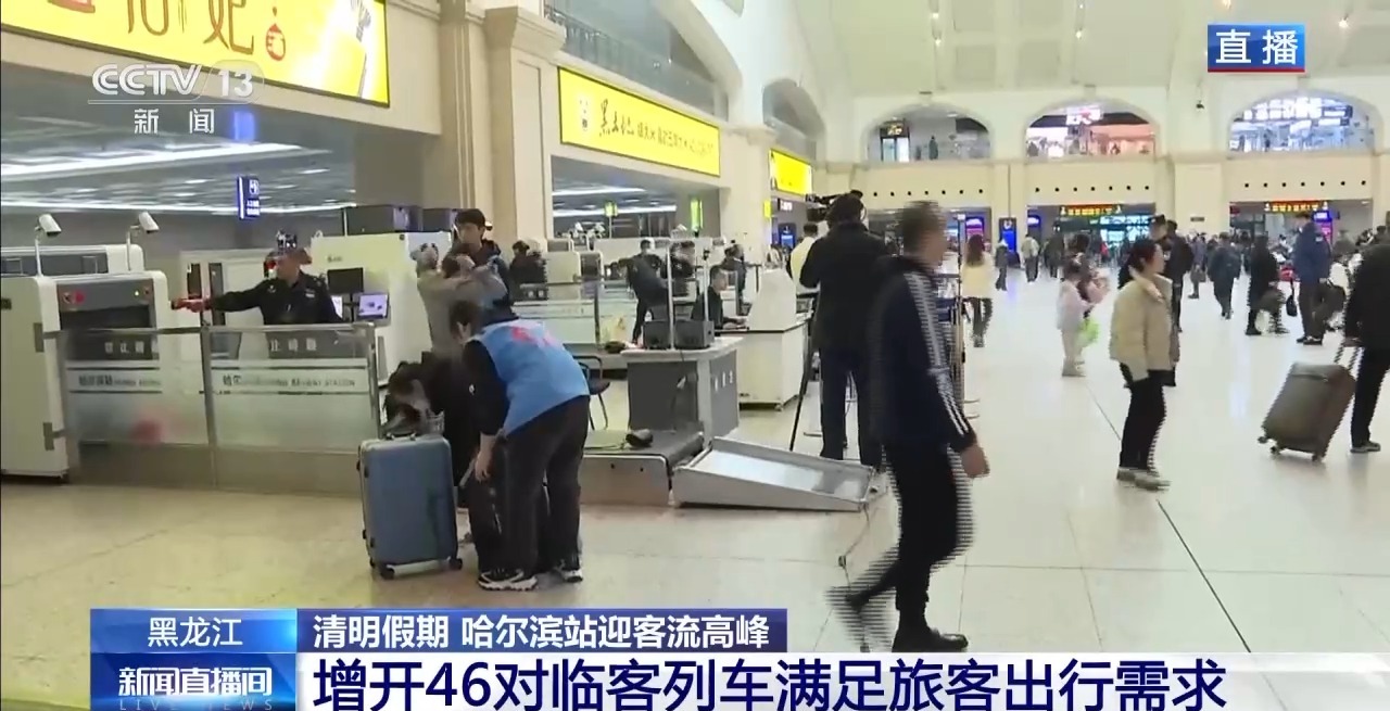 增开临客列车 安排夜间高铁 “尔滨”清明假期继续宠客(图2)