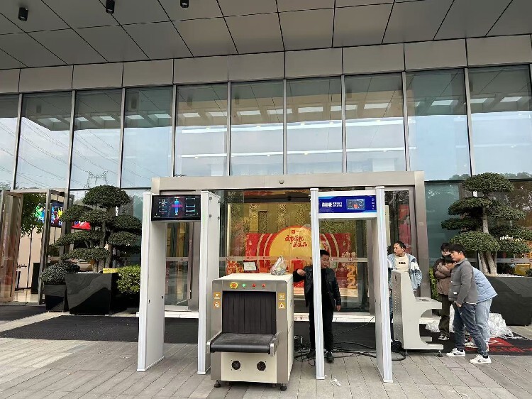 湖南国产智能安检门安检机(图3)
