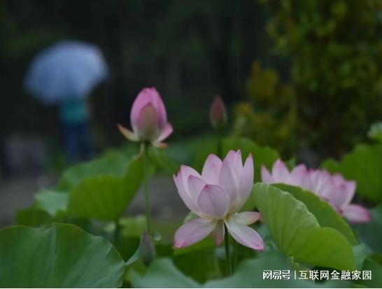 特勤安保发展路径专题研究(图1)