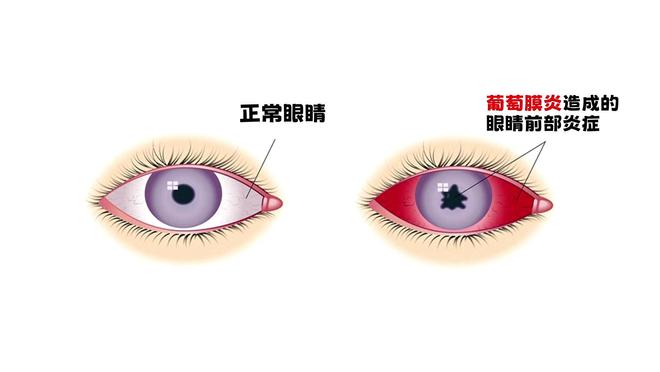神医治好15000人却差点命丧手术室天才眼科医生陶勇被砍案(图24)
