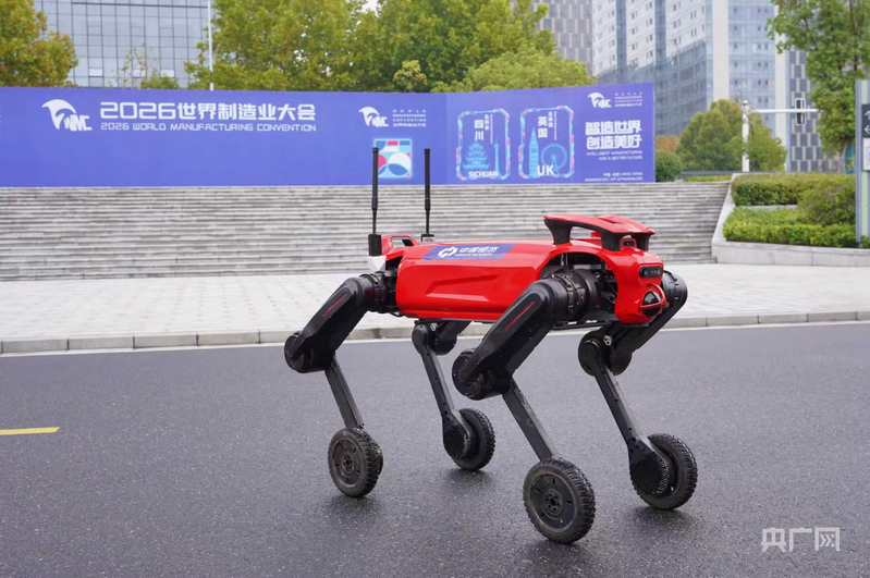 多方协同发力全力做好2026世界制造业大会服务保障工作(图3)